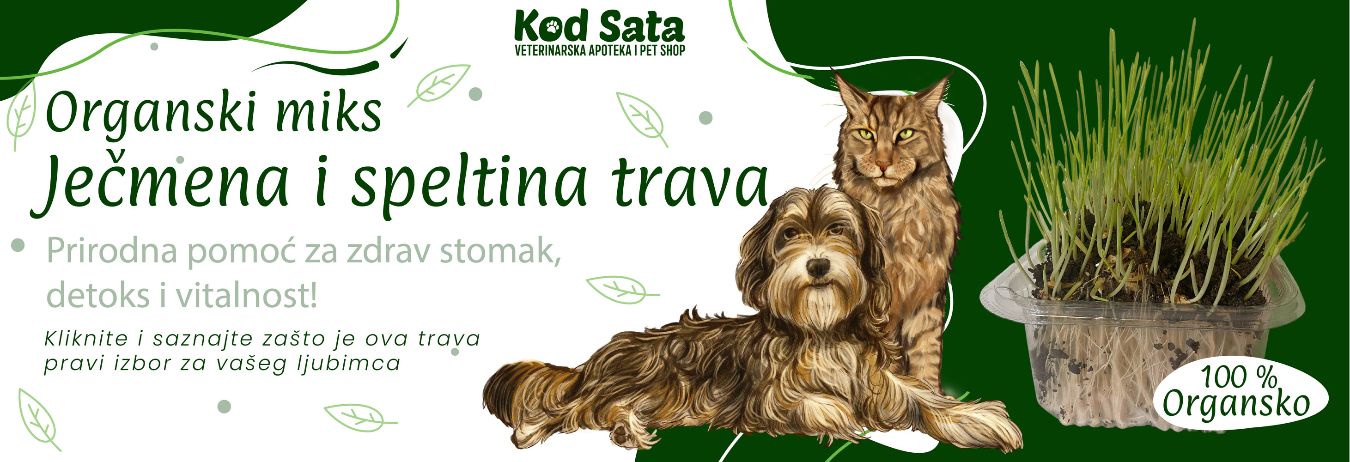 bigBanner