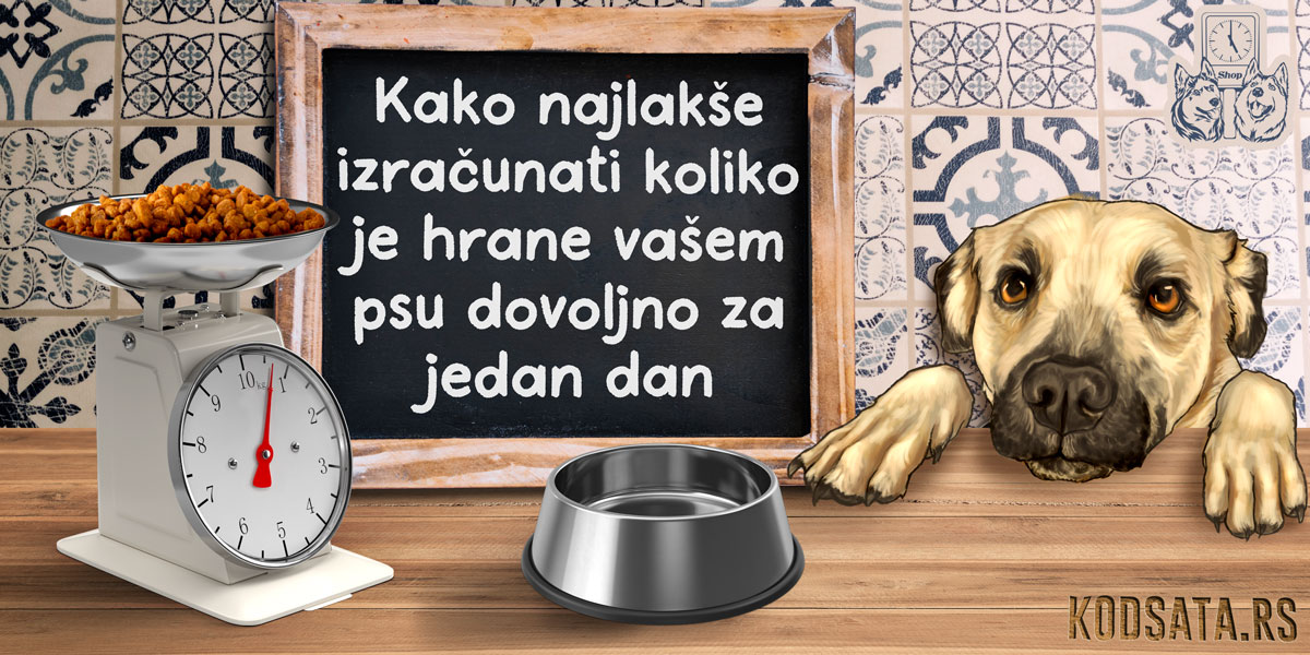 Kako najlakše izračunati koliko je hrane vašem psu dovoljno za jedan dan