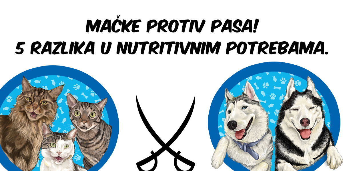 Mačke protiv pasa! 5 razlika u nutritivnim potrebama.
