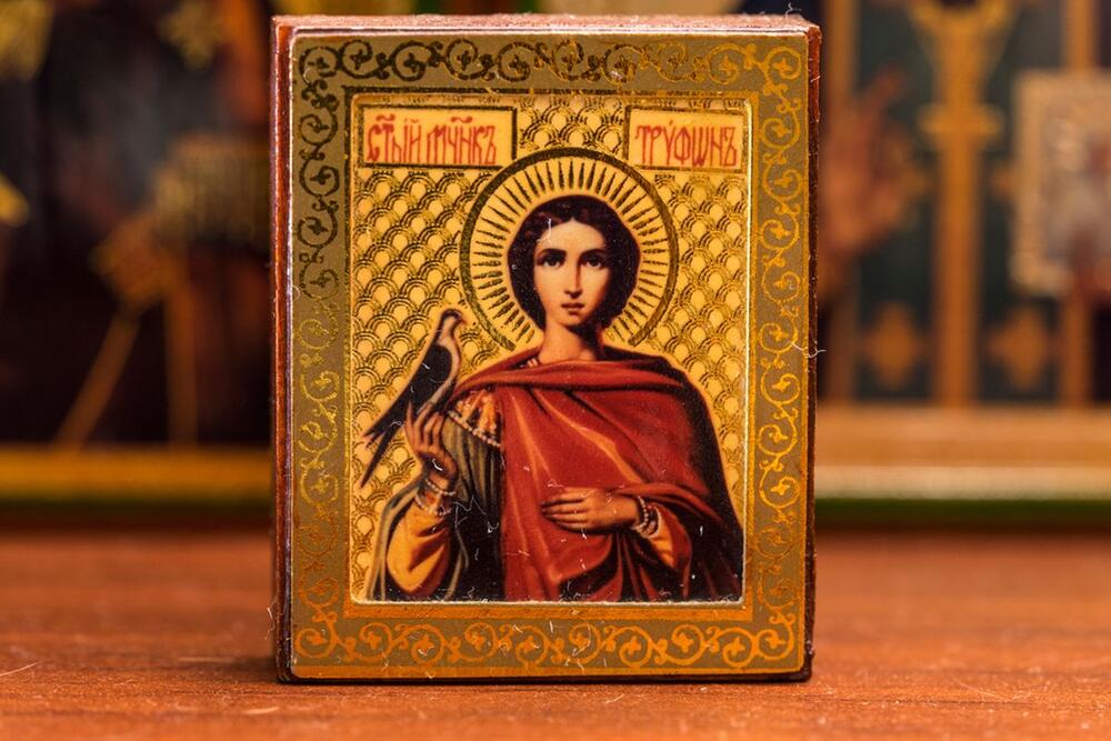 Sveti Trifun i nove pogodnosti na našem webshopu 