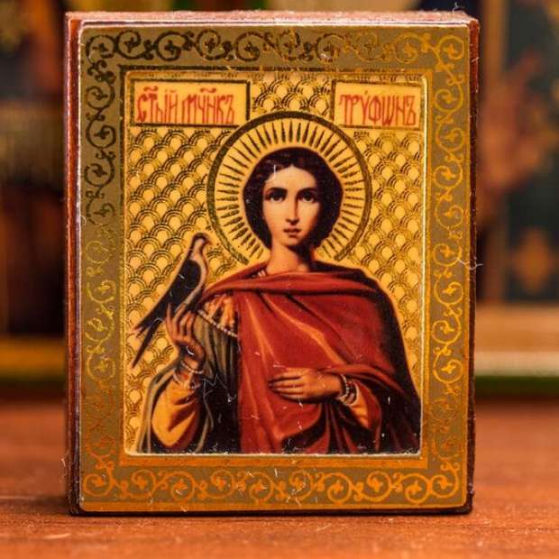 Sveti Trifun i nove pogodnosti na našem webshopu