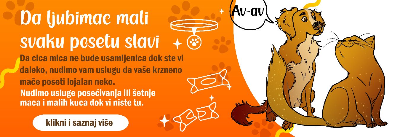 Usluga obilaženja mačaka dok Vi niste tu