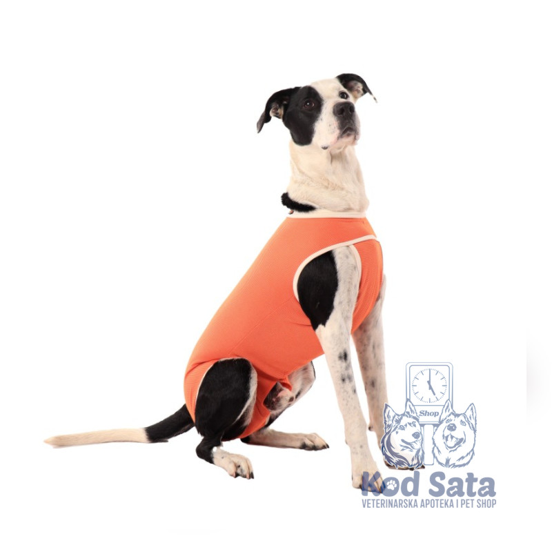 Copper Body Male Dog Castration, Postoperativno Odelo Za Kastrirane Pse 15